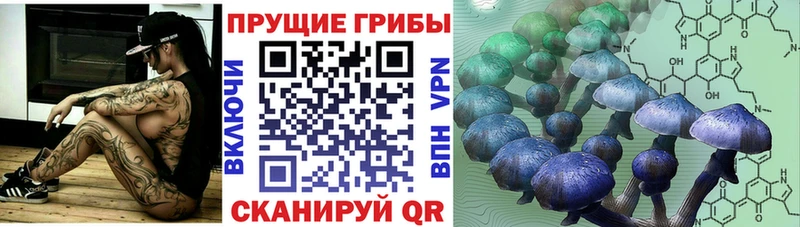Купить где Островной Псилоцибиновые грибы MAGIC MUSHROOMS